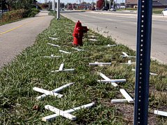 Memorial crosses from Saturday's rally uprooted