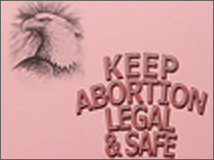 The creator of this item (for sale on CafePress) doesn't seem to realize that you can't "keep" abortion safe, because it never has been (and never will be) safe.