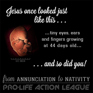 From Annunciation to Nativity Graphic Number 2