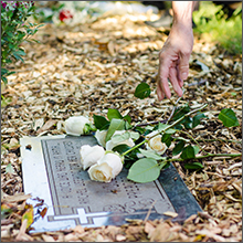 gravesite and rose