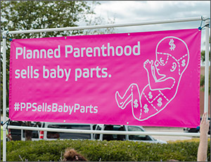 #PPSellsBabyParts banner