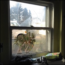 One of the windows broken at Pro-Life Action League staffer John Jansen's home, January 28